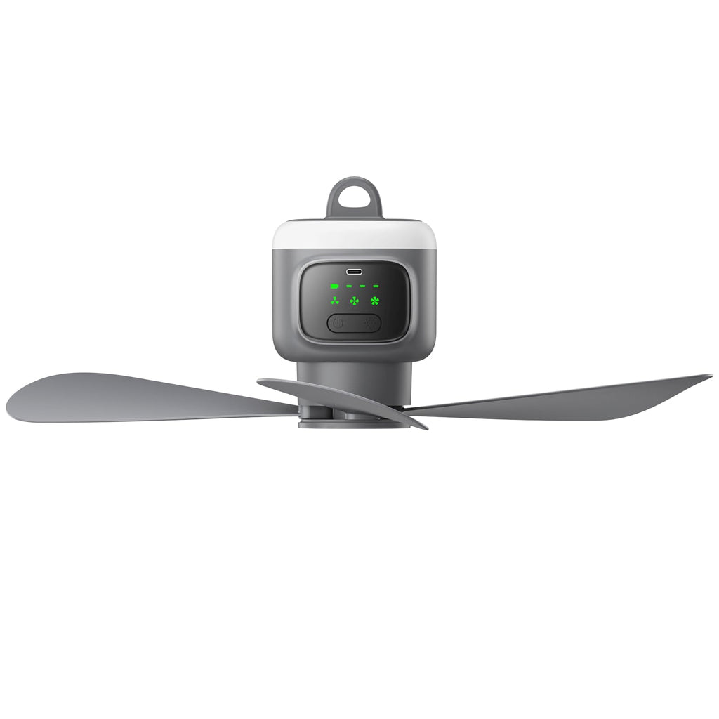 Portable Ceiling Fan with Light W67615