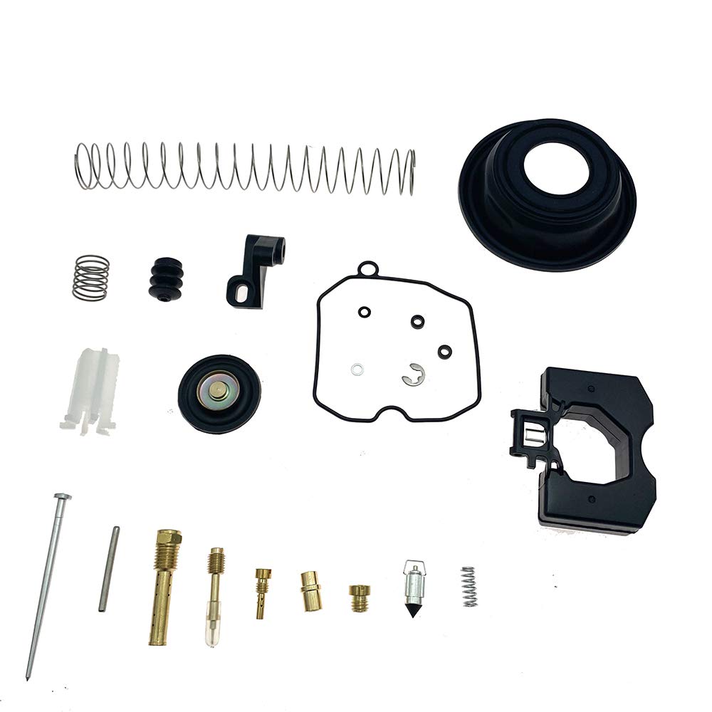 Carburetor Repair Rebuild Kit A168
