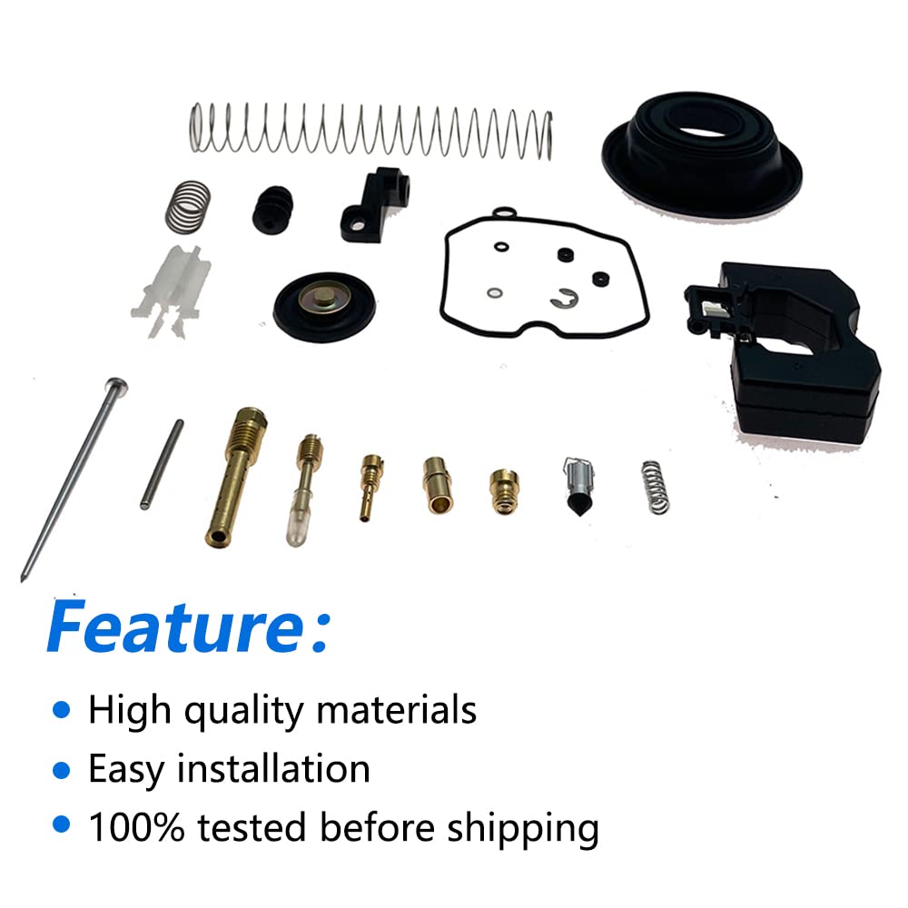 Carburetor Repair Rebuild Kit A168