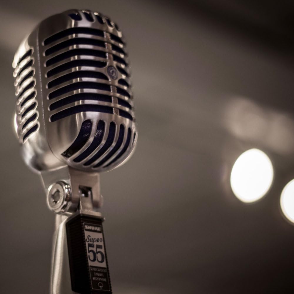 Supercardioid Dynamic Vocal Microphone S993