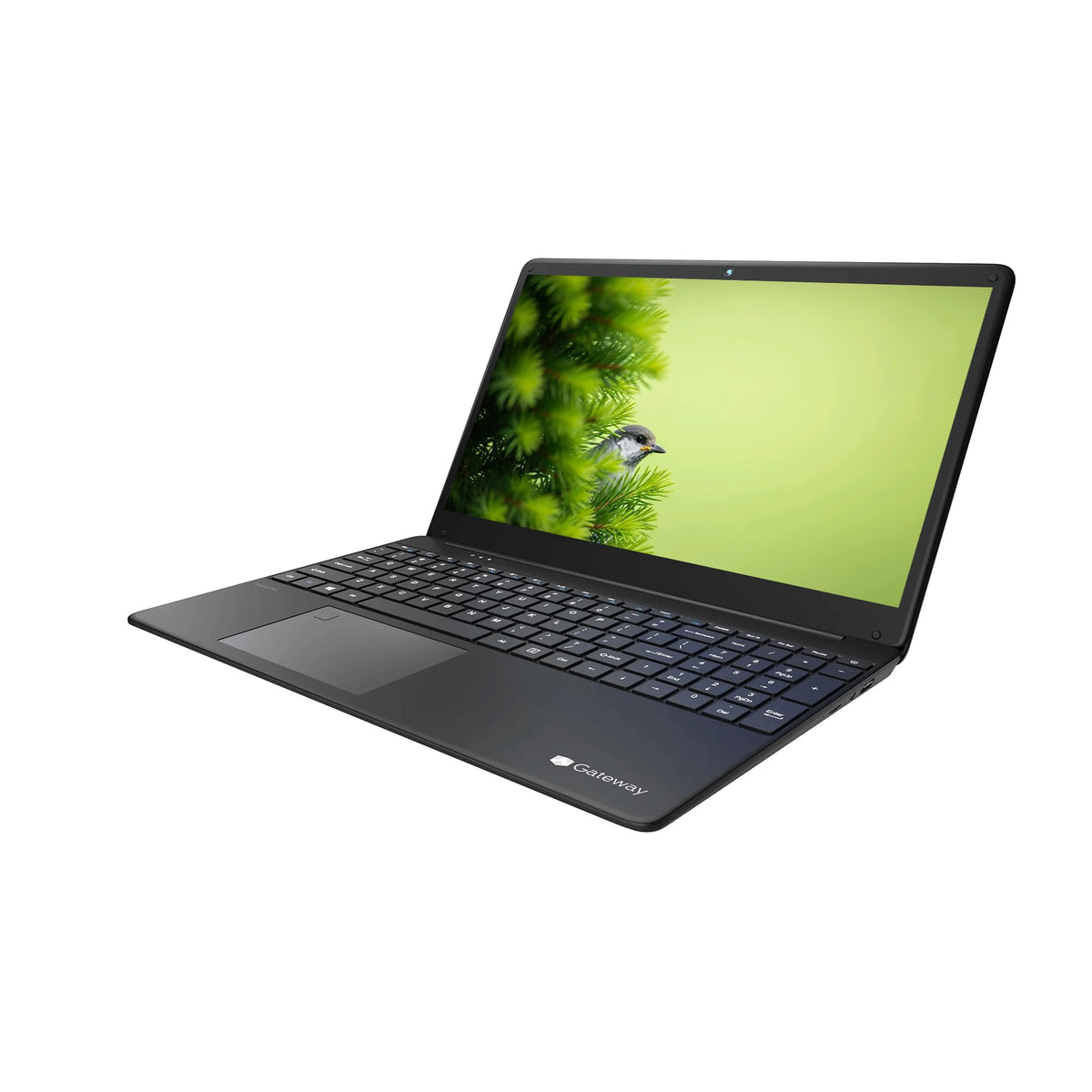 15.6" FHD IPS Lightweight Laptop, Intel i3, 8GB DDR4, 256GB SSD, Windows 11 D198