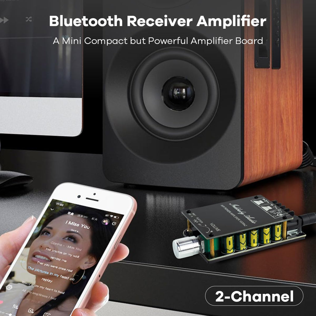 200W Bluetooth 5.0 Stereo Dual Channel Mini Amp Board X5175