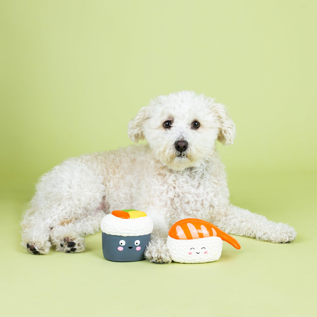 Set of 2 Latex Dog Toy Sets H7768