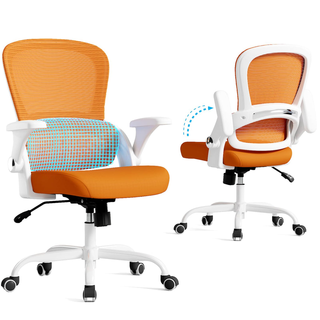 Ergonomic Office Chair with Back Support F185487