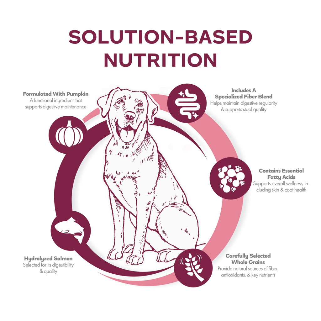 Salmon & Whole Oats Dry Dog Food 26 lb R21809