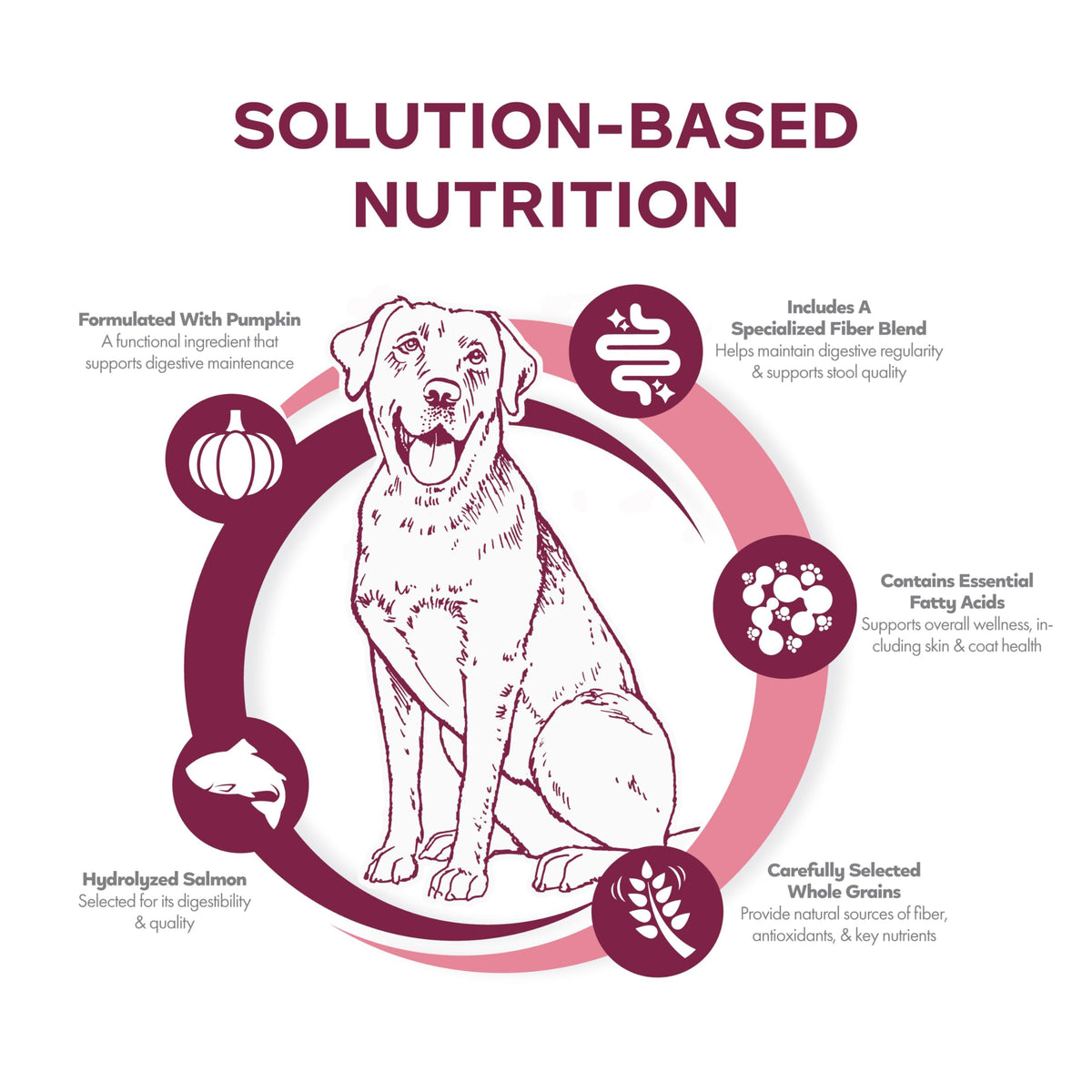 Salmon & Whole Oats Dry Dog Food 26 lb R21809