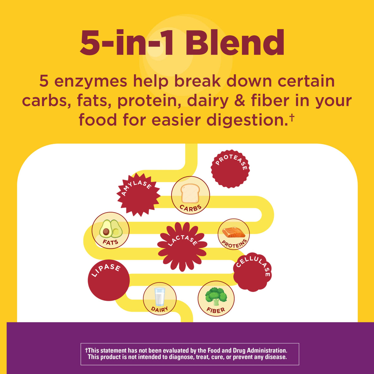 Digestive Enzymes 90 Chewable Tablets U204009