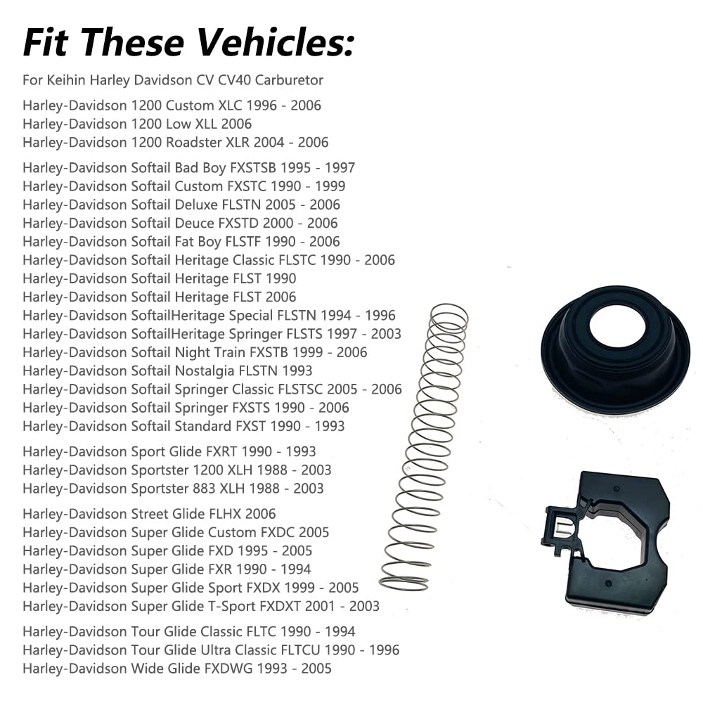 Carburetor Repair Rebuild Kit A168