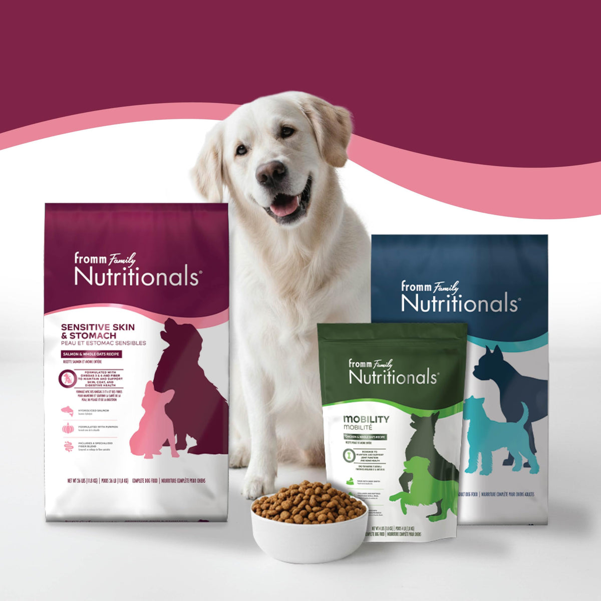 Salmon & Whole Oats Dry Dog Food 26 lb R21809