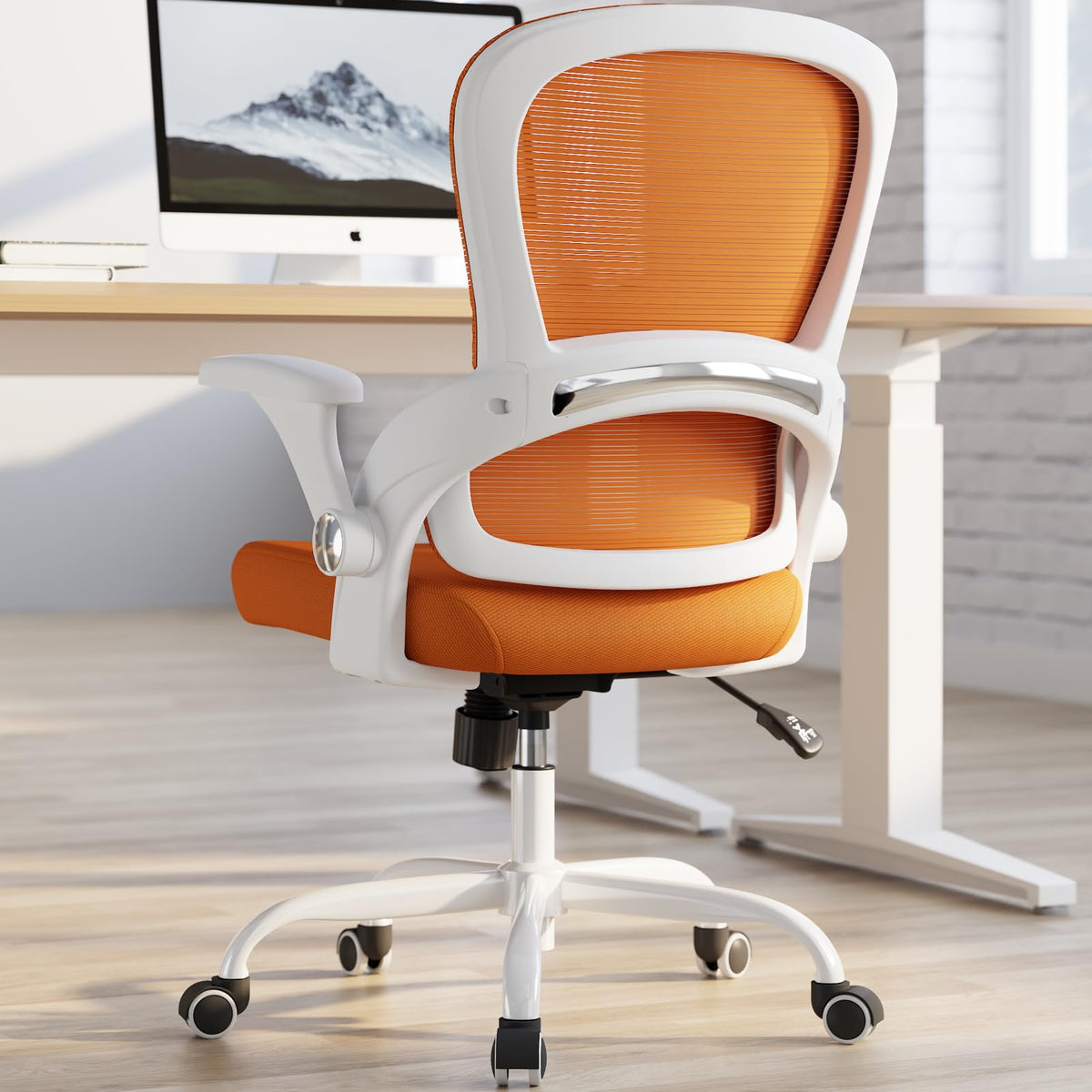 Ergonomic Office Chair with Back Support F185487