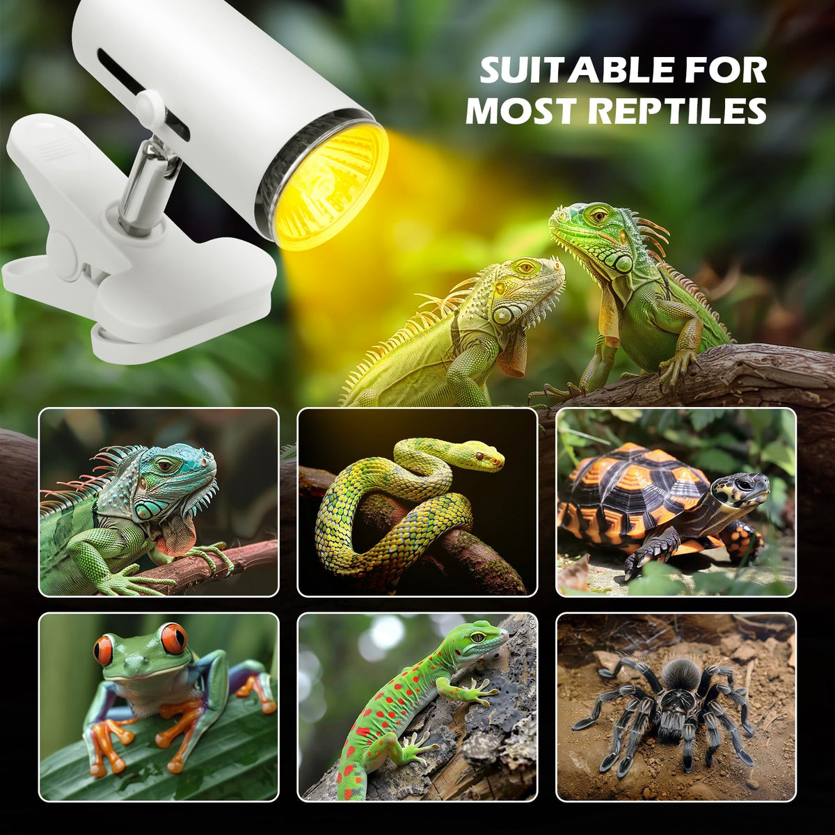 12x7x9 inch Reptile Terrarium with Heat Lamp F9179