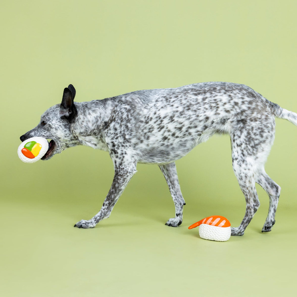 Set of 2 Latex Dog Toy Sets H7768