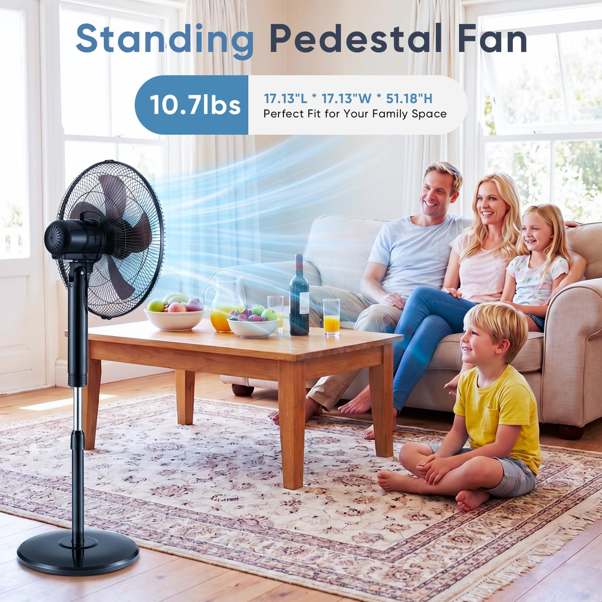 17" Oscillating Pedestal Fan with Remote B582584