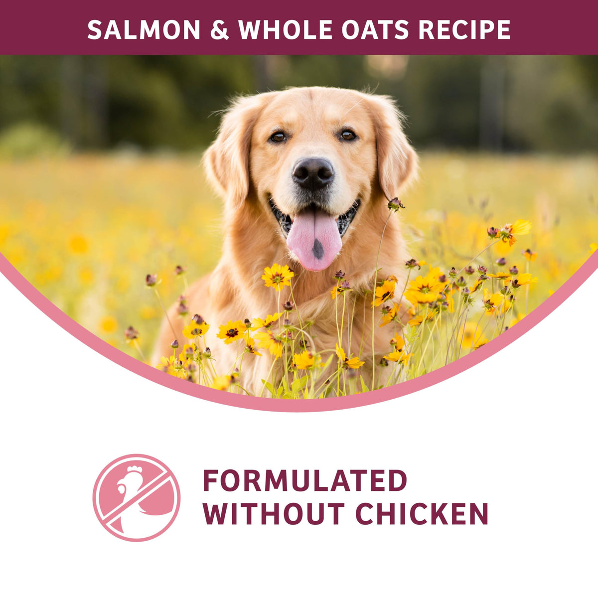 Salmon & Whole Oats Dry Dog Food 26 lb R21809