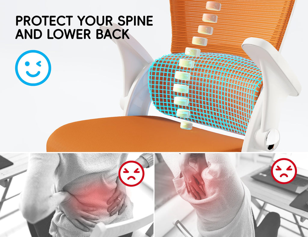 Ergonomic Office Chair with Back Support F185487