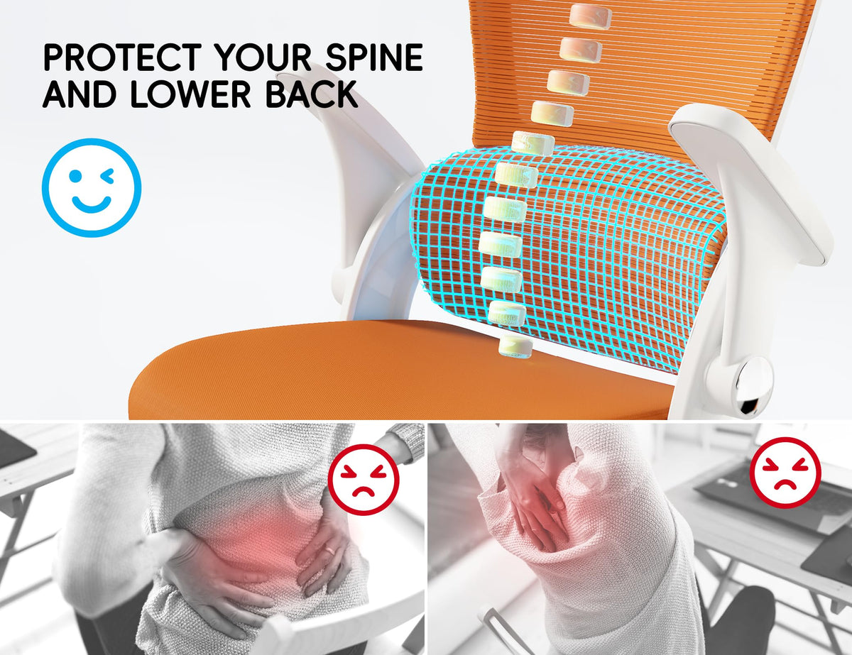 Ergonomic Office Chair with Back Support F185487