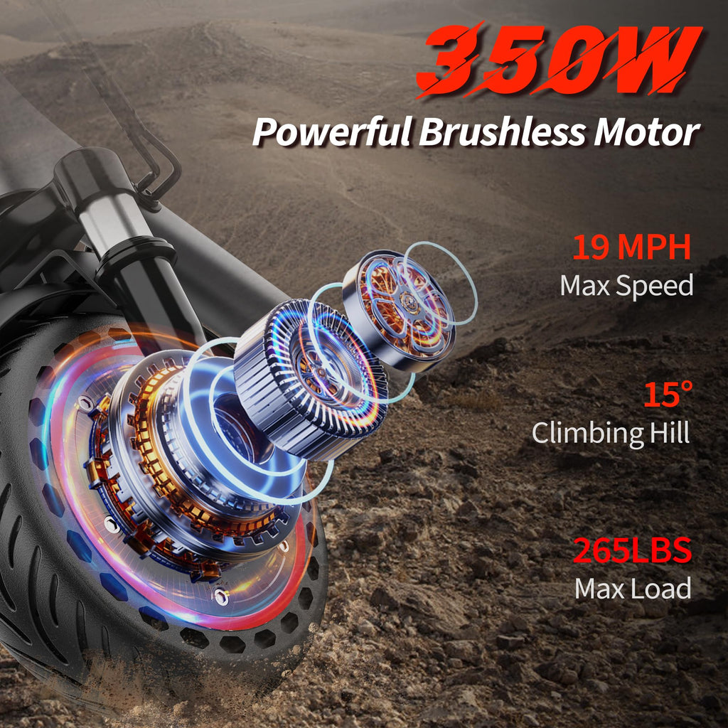 Electric Scooter M112018