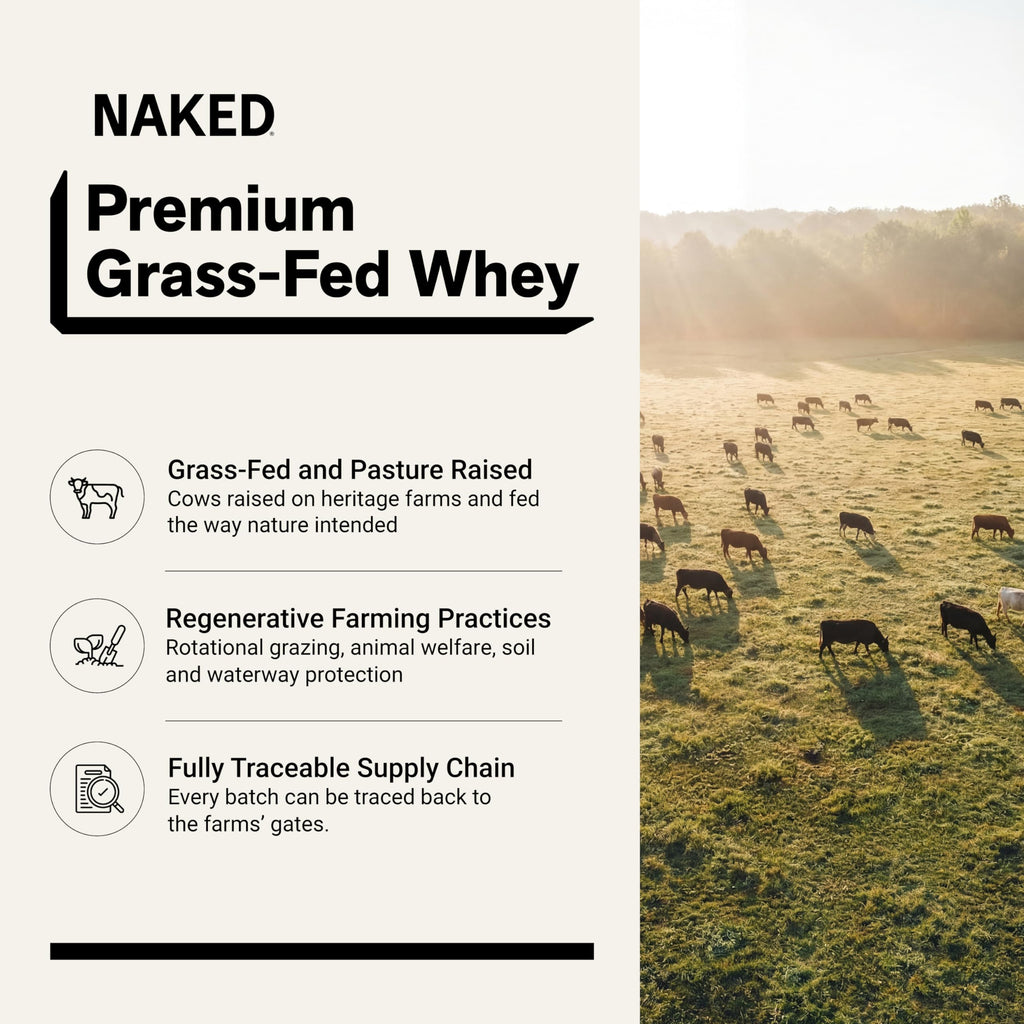 Chocolate Grass Fed Whey Protein Powder M42365