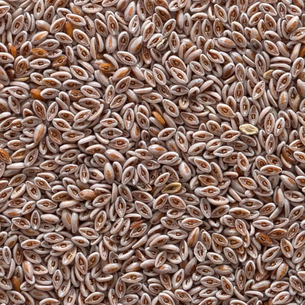 Organic Whole Psyllium Seed 1lb E79319