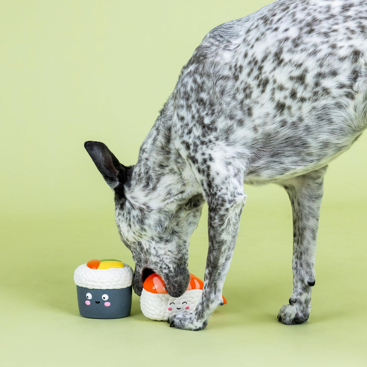 Set of 2 Latex Dog Toy Sets H7768