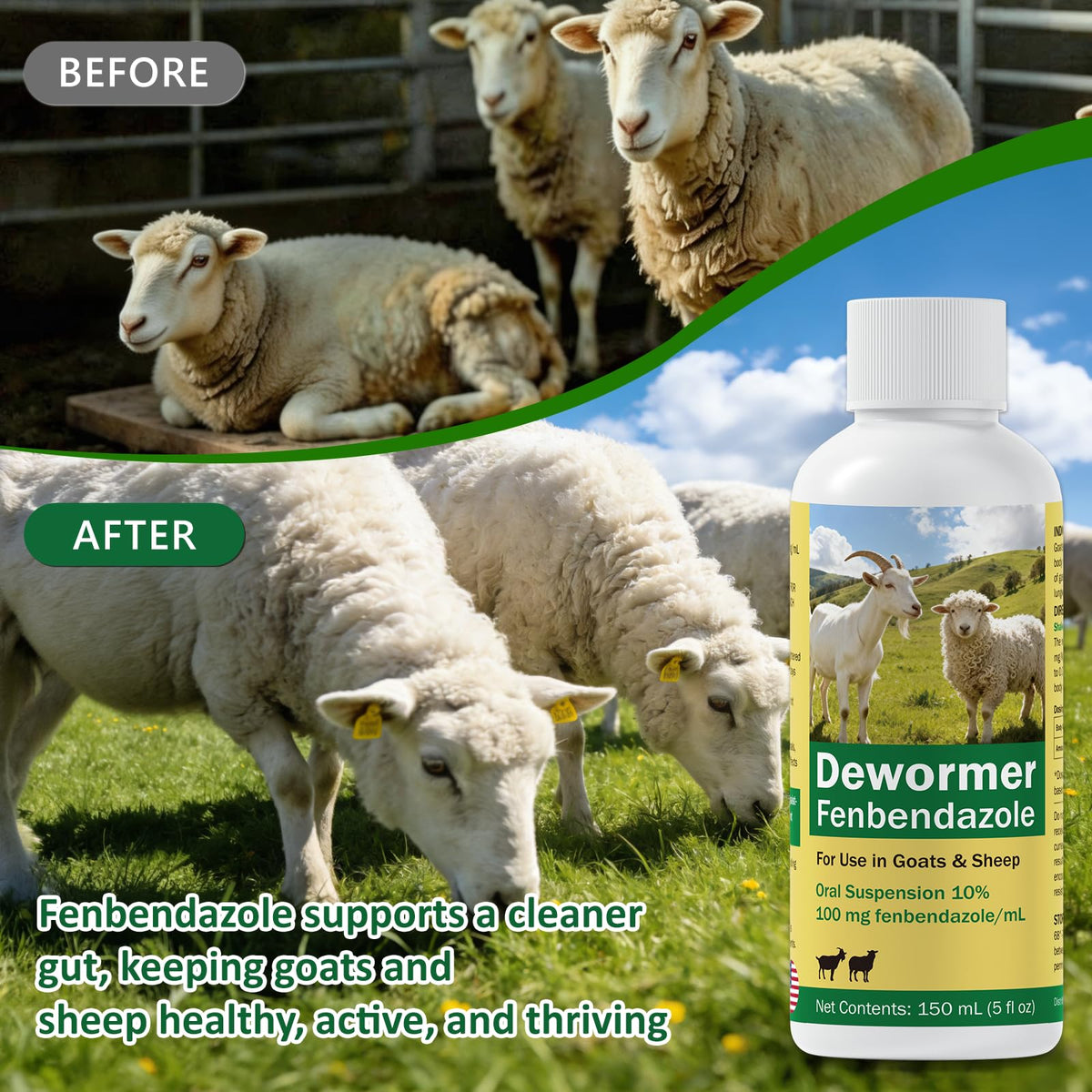 Fenbendazole Dewormer Liquid for Goat & Sheep W952