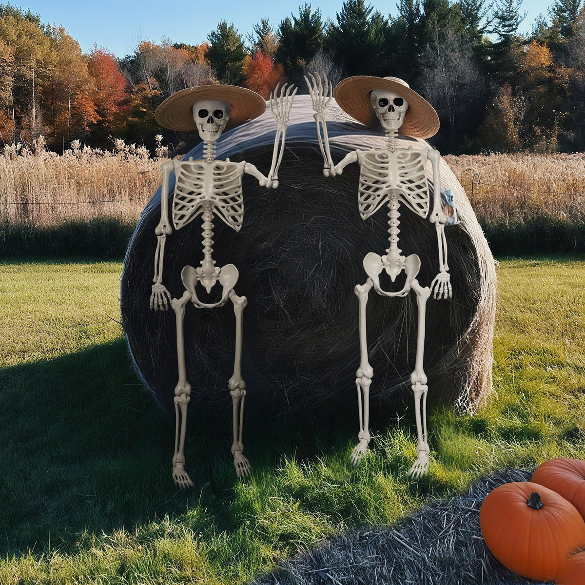 Life Size Poseable Skeleton O7541